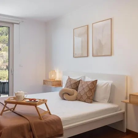 Wings Ii By An Island Санта-Крус